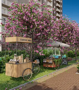 Food bike